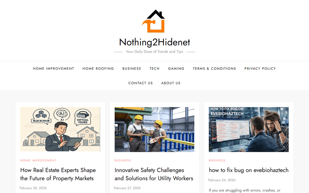 nothing2hidenet.net publisher screenshot