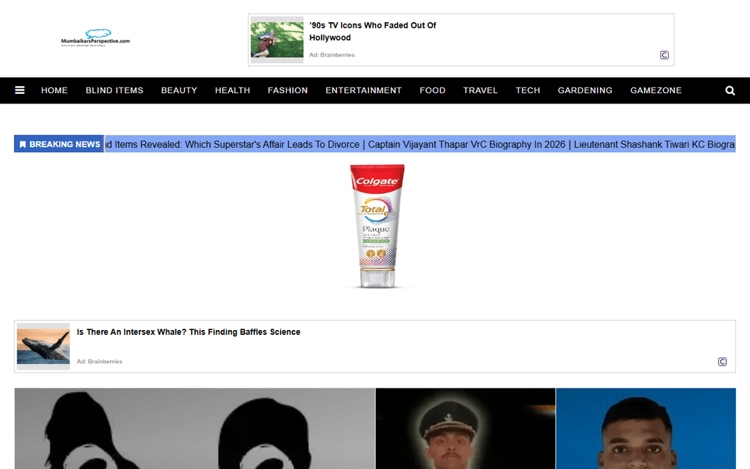 mumbaikarsperspective.com publisher screenshot