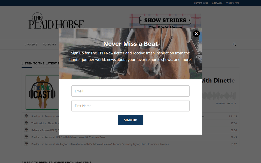 theplaidhorse.com publisher screenshot