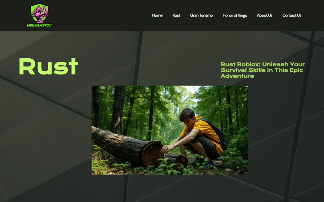 gamerheropro.com publisher screenshot